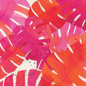 gattone illustration